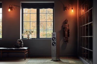 Dynaudio Focus 30 XD - Grey Oak High Gloss - Lifestyle 01